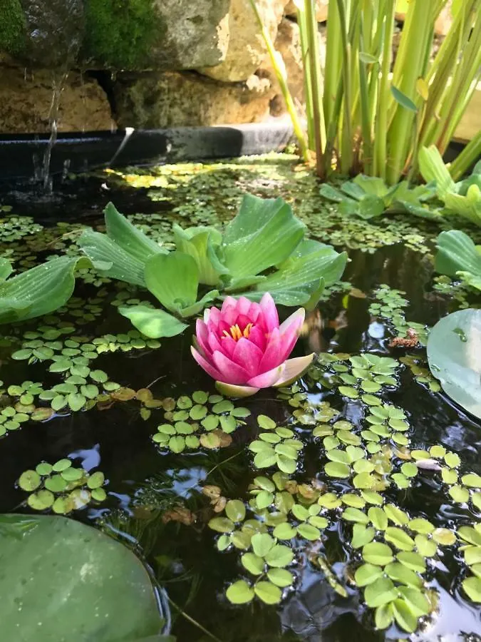 Дом отдыха Вилла Les Jardins De Gaston Mauvezin